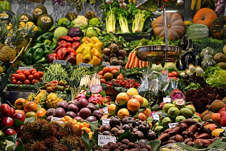 Healing from the Outside In: When Food Mirrors Anatomy