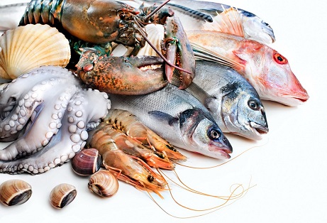 Fish, Mercury, and Antibiotics: Should You Rethink Your Seafood Choices?