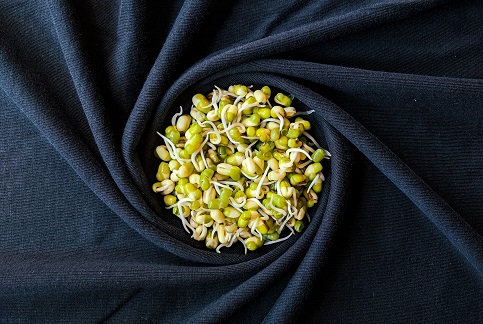 Sprouted Grains: The Superfood That Boosts Immunity and Reverses Aging