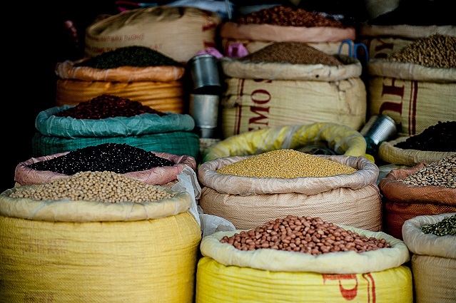 Legumes vs. Meat: Why Plant-Based Protein is the Smart Choice