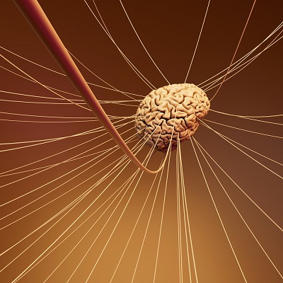 Feed Your Nerves: The Best Foods for Calm, Focus, and Balance